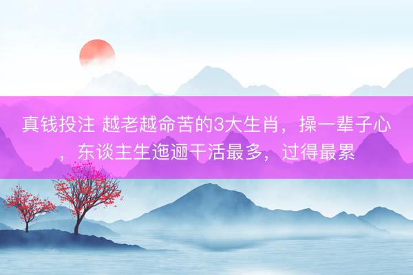 真钱投注 越老越命苦的3大生肖，操一辈子心，东谈主生迤逦干活最多，过得最累