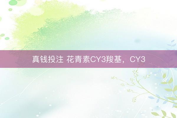 真钱投注 花青素CY3羧基，CY3