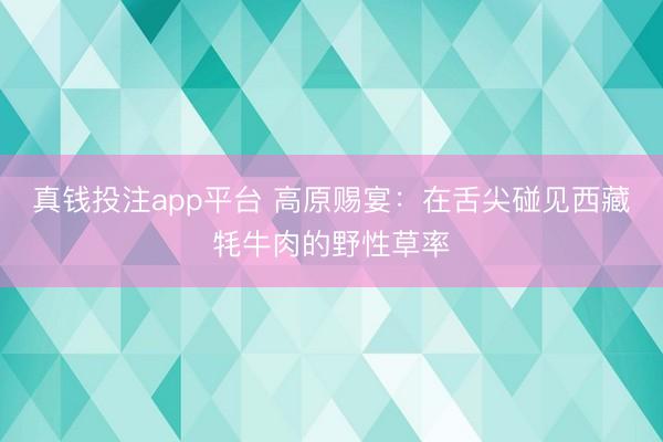真钱投注app平台 高原赐宴：在舌尖碰见西藏牦牛肉的野性草率