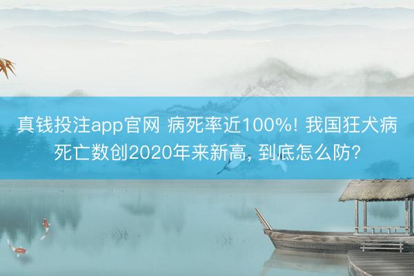真钱投注app官网 病死率近100%! 我国狂犬病死亡数创2020年来新高, 到底怎么防?