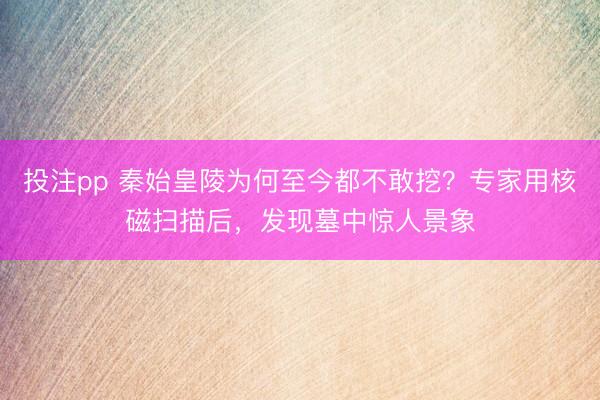 投注pp 秦始皇陵为何至今都不敢挖？专家用核磁扫描后，发现墓中惊人景象