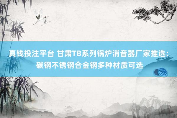 真钱投注平台 甘肃TB系列锅炉消音器厂家推选: 碳钢不锈钢合金钢多种材质可选
