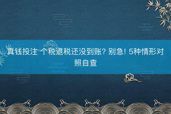 真钱投注 个税退税还没到账? 别急! 5种情形对照自查