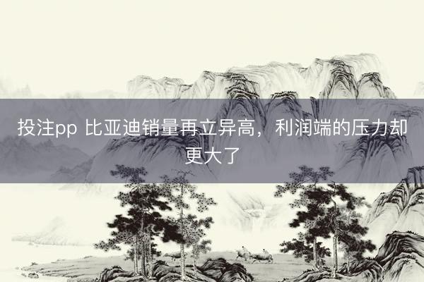 投注pp 比亚迪销量再立异高，利润端的压力却更大了
