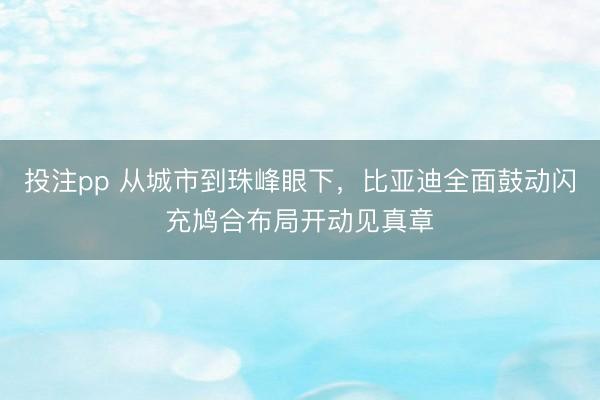 投注pp 从城市到珠峰眼下，比亚迪全面鼓动闪充鸠合布局开动见真章