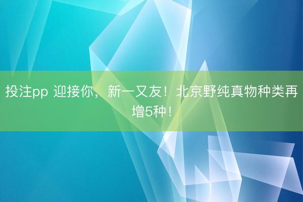 投注pp 迎接你，新一又友！北京野纯真物种类再增5种！